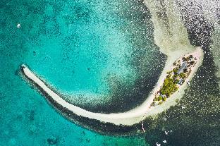 begonia resort