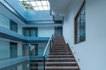 begonia resort