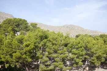 hotel cala sant vicenc adults only 16