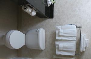 holiday inn hotel and suites davenport by ihg