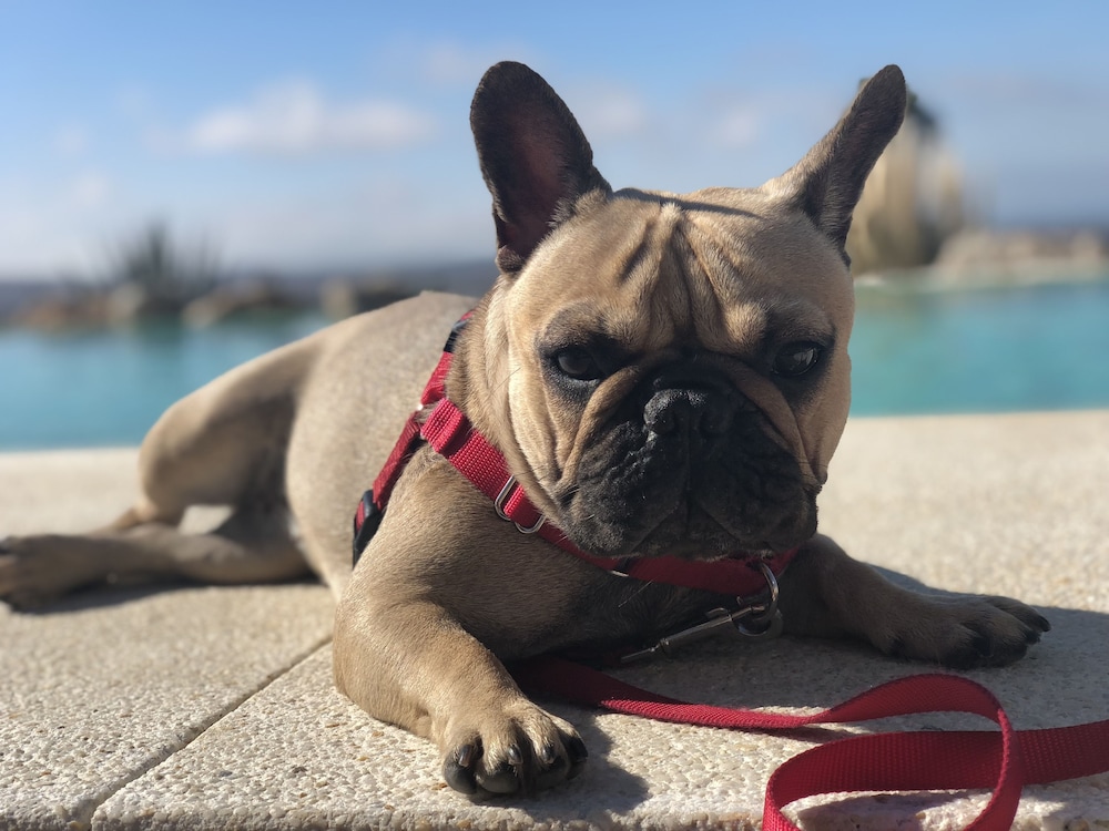 hotel ritual torremolinos adults only