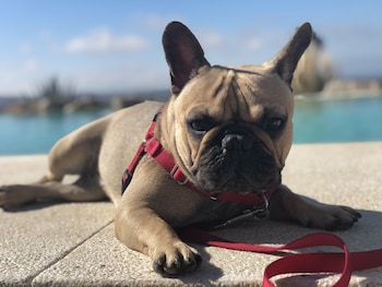 hotel ritual torremolinos adults only