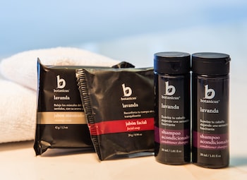 fiesta inn queretaro centro sur