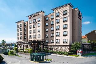 Best Western Premier Monterrey Aeropuerto,Guadalupe>>Apodaca,3 star