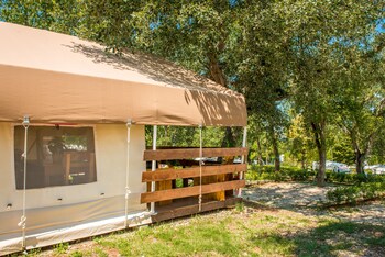 sunflower camping