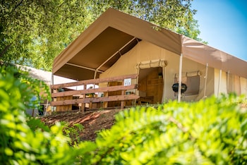 sunflower camping