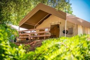 sunflower camping