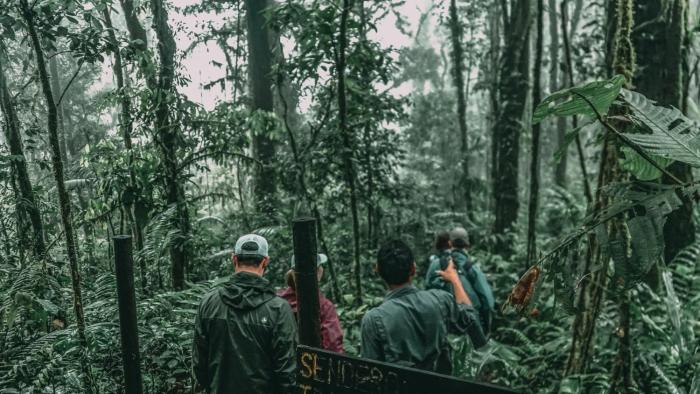 villa blanca cloud forest hotel retreat