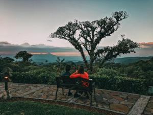 villa blanca cloud forest hotel retreat