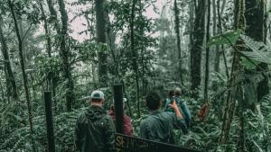 villa blanca cloud forest hotel retreat