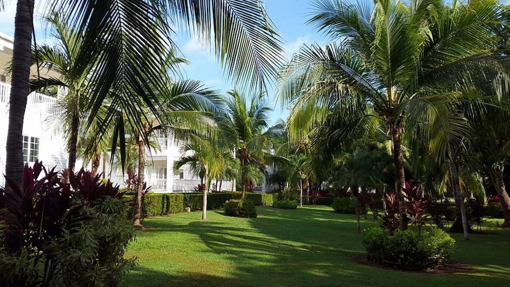 guanacaste