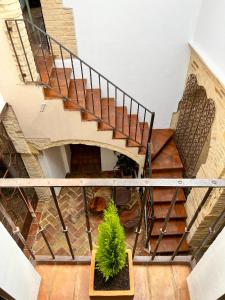 carmona