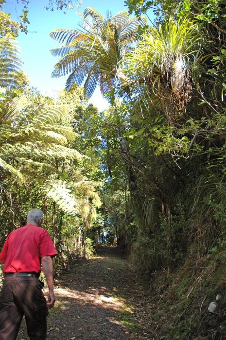 waitakere resort and spa