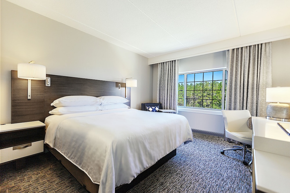 sheraton jacksonville hotel