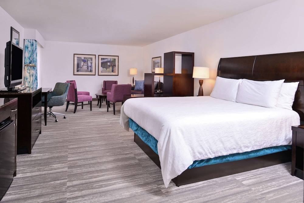 hilton garden inn jacksonville downtown southbank