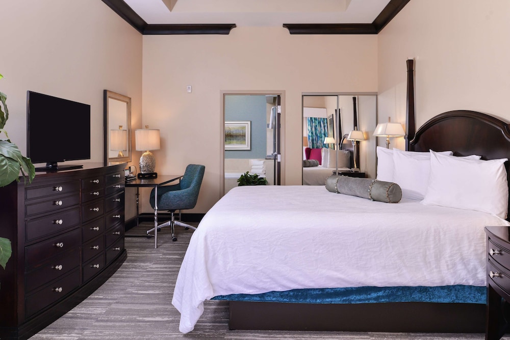 hilton garden inn jacksonville downtown southbank