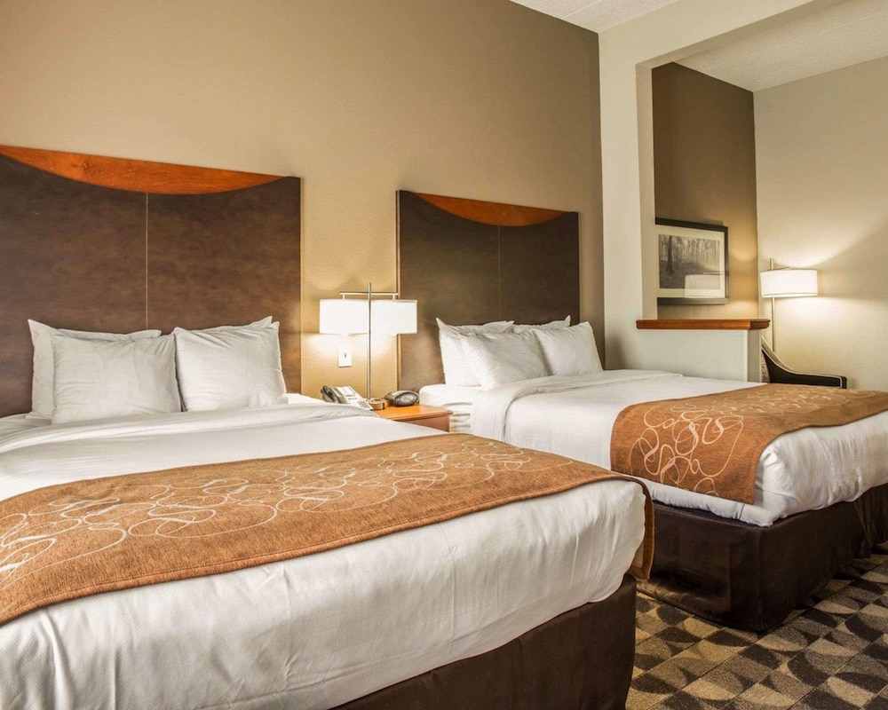 comfort suites columbia at harbison