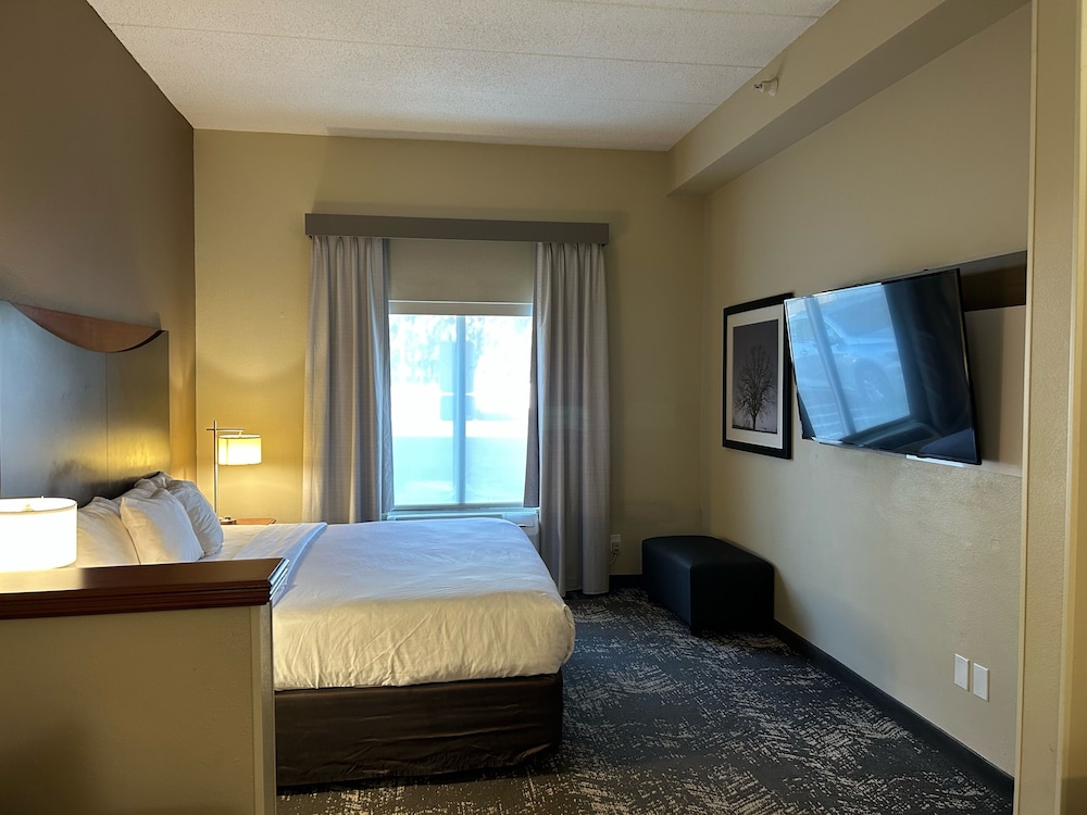comfort suites columbia at harbison
