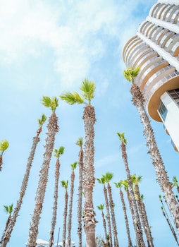 herzliya