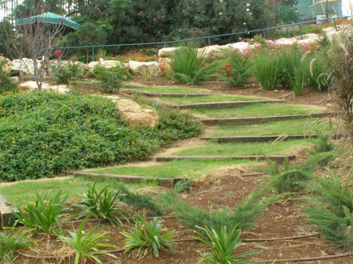 shoresh green hills family suites hotel