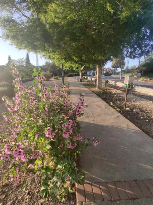 shoresh green hills family suites hotel