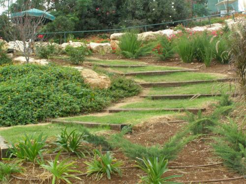 shoresh green hills family suites hotel