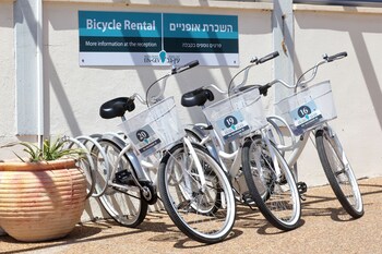ein gev holiday resort