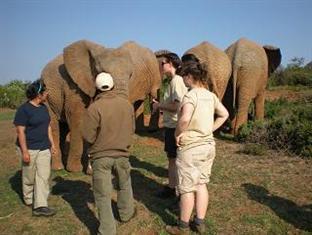 kwantu private game reserve