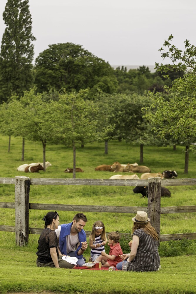 domaine de la tour bandb