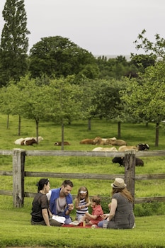 domaine de la tour bandb