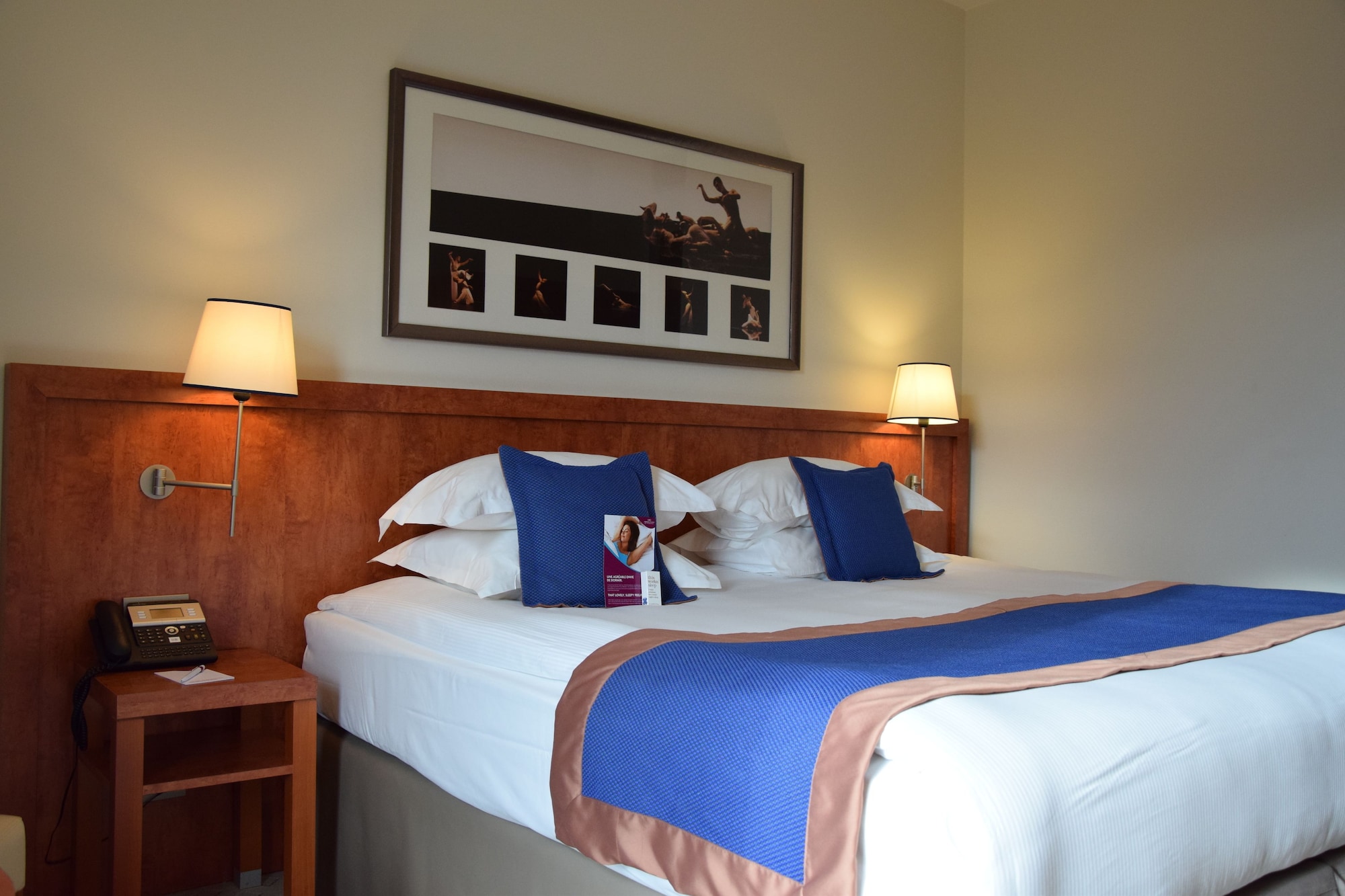 crowne plaza lyon cite internationale