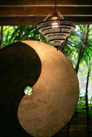amata lanna chiang mai one member of the secret retreat