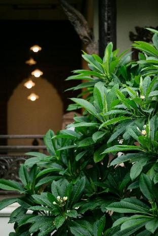 amata lanna chiang mai one member of the secret retreat