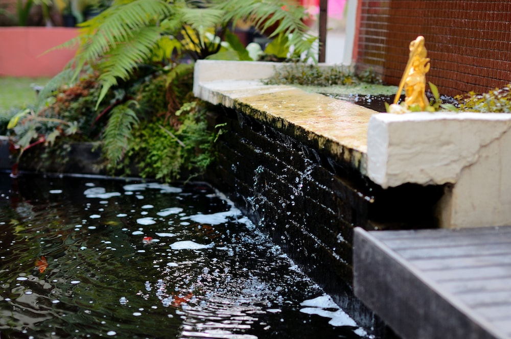 seven senses guest house