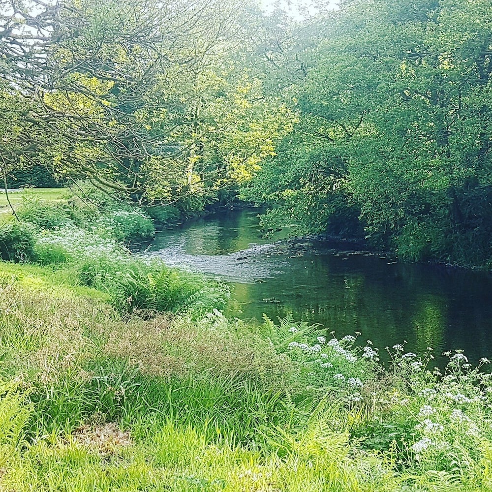 dolbrodmaeth riverside bandb