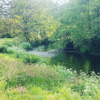 dolbrodmaeth riverside bandb