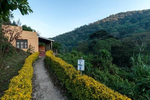 kisoro