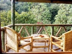 gorilla valley lodge