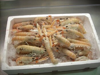 hotel ristorante ai campi di marcello