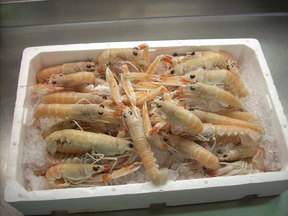 hotel ristorante ai campi di marcello