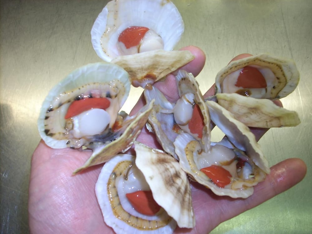 hotel ristorante ai campi di marcello