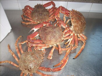 hotel ristorante ai campi di marcello