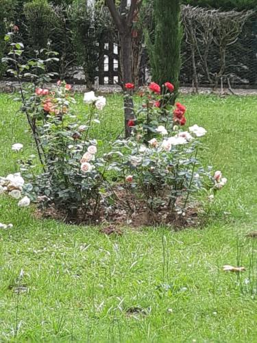 hostellerie de la roseraie