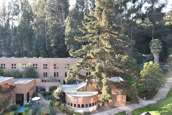 hotel bosque de renaca