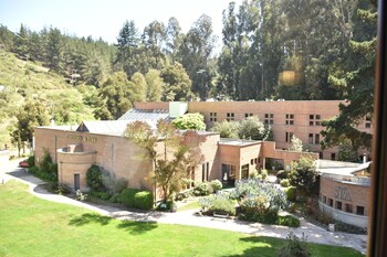 hotel bosque de renaca