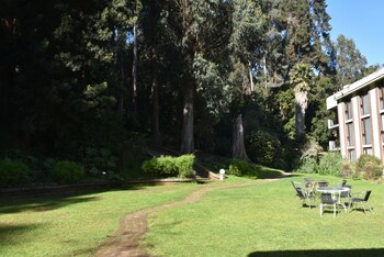 hotel bosque de renaca