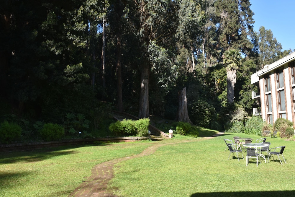 hotel bosque de renaca