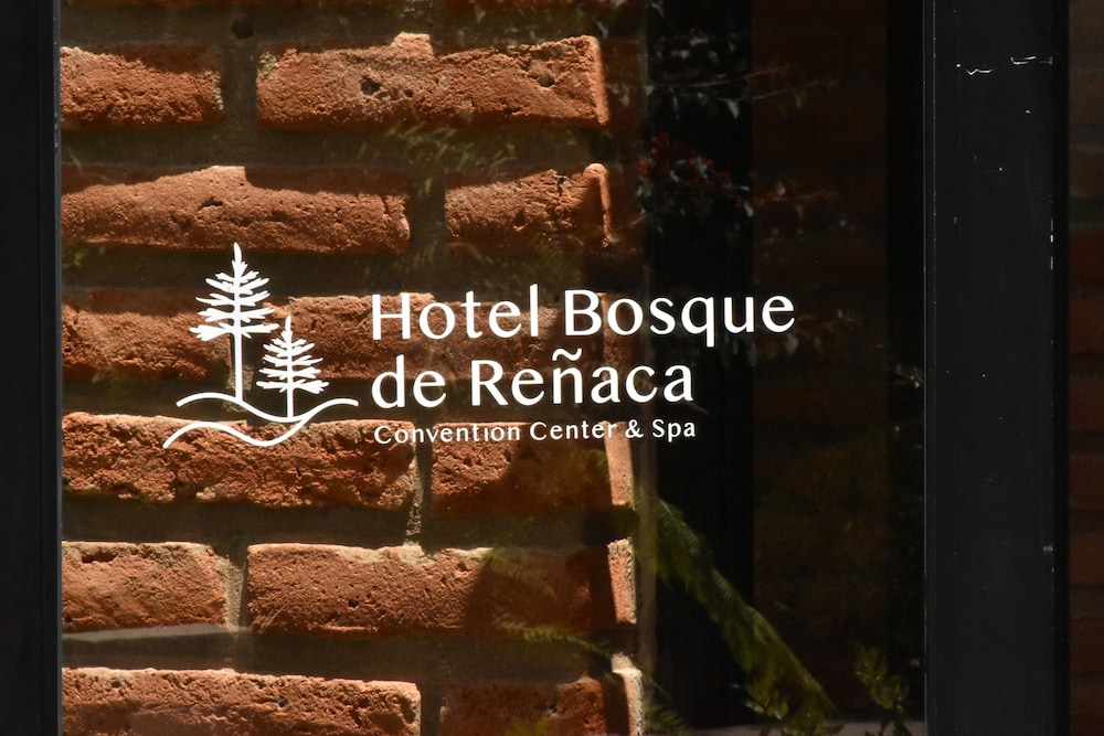 hotel bosque de renaca