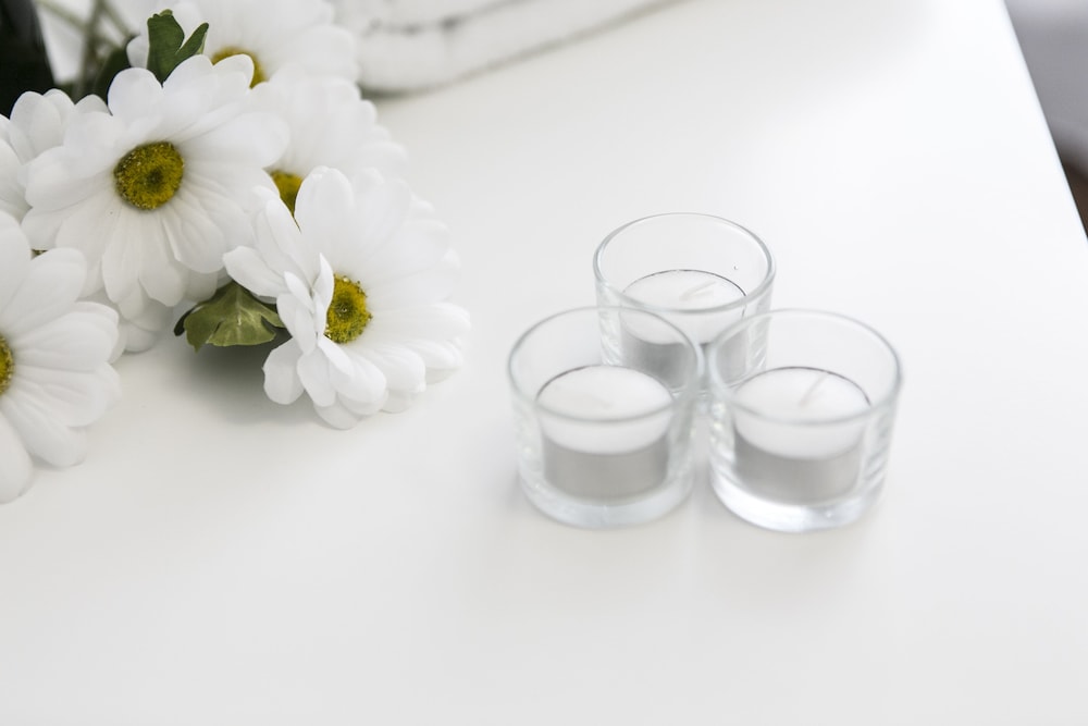 the queen luxury apartments villa giorgia