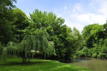 la ferte imbault